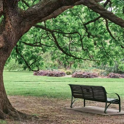 澳大利亚10日跟团游