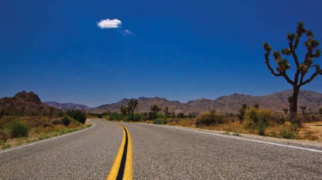 9-Day Road Trippin’ US West Tour from Los Angeles·Joshua Tree, Palm Springs, Zion, Bryce Canyon, Grand Canyon | Max 13 Guests