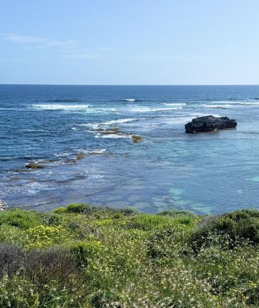 4D3N • Australia Perth + Hutt Lagoon + Rottnest Island | Contact Customer Service for an Instant Discount - Complimentary Aerial Photography