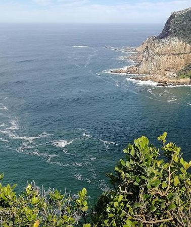 5D4N • 5 Day Garden Route Tour and Addo Elephant National Park