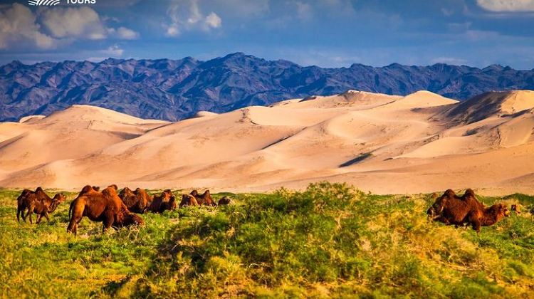 3D2N · Group Tours · 3 days Semi Gobi Desert and Genghis Khan Statue