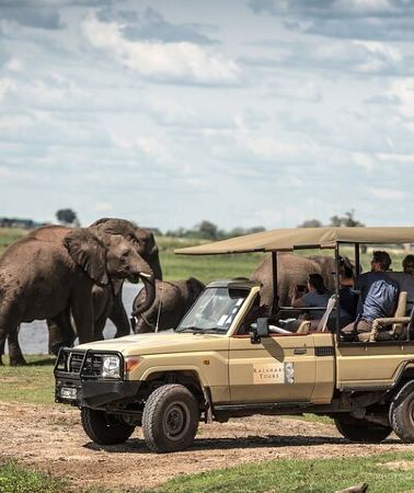 2D1N • 2 Day 1 Night Chobe Safari ex Livingstone/Victoria Falls