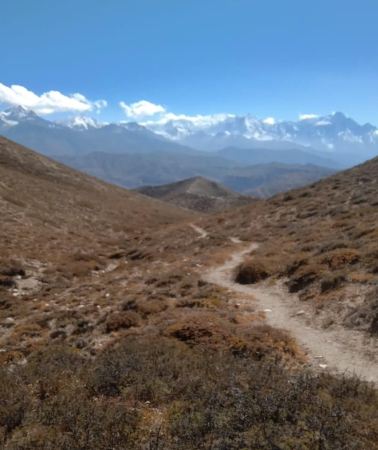 12D11N • From Pokhara: 12-Day Annapurna Base Camp Trek with Guide