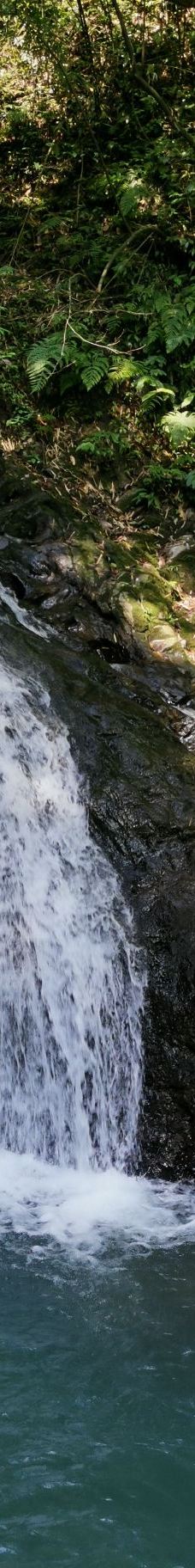 黑山谷风景区-重庆