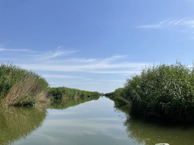 乌梁素海生态旅游景区(暂停开放)旅行图片 1