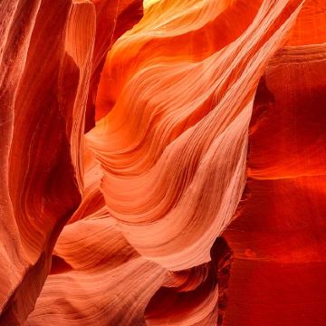 美国西海岸11日跟团游