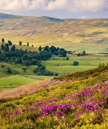 4D3N • 4 Day Journey to Scotland from Manchester Including Admissions