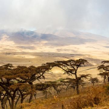 坦桑尼亚+塞伦盖蒂+恩戈罗恩戈罗+塔兰吉雷国家公园8日6晚跟团游