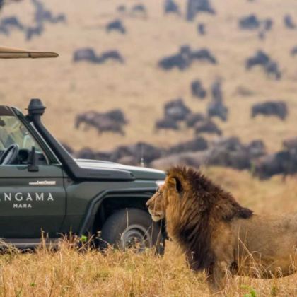 肯尼亚马赛马拉国家保护区+奈瓦沙湖+纳库鲁+地狱之门国家公园6日5晚私家团