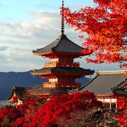 日本熊野古道+京都+滋贺县6日5晚跟团游