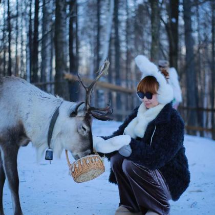 哈尔滨+雪乡5日4晚私家团