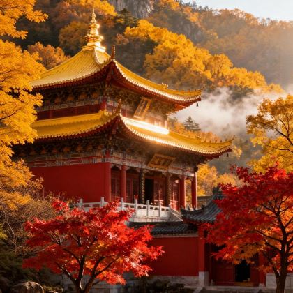 普陀山2日私家团