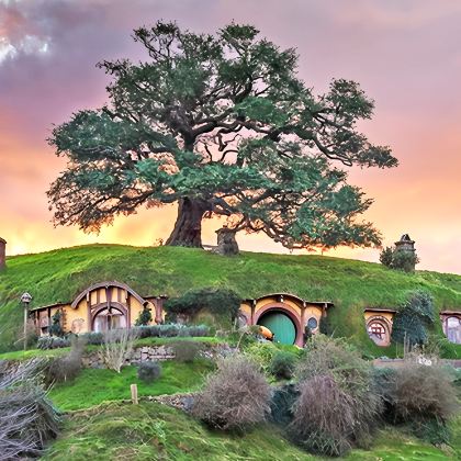 新西兰北岛+奥克兰+罗托鲁瓦4日3晚拼小团