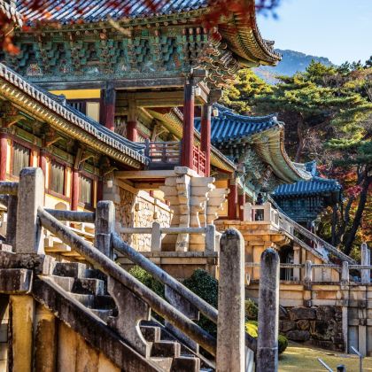 釜山+庆州6日5晚私家团