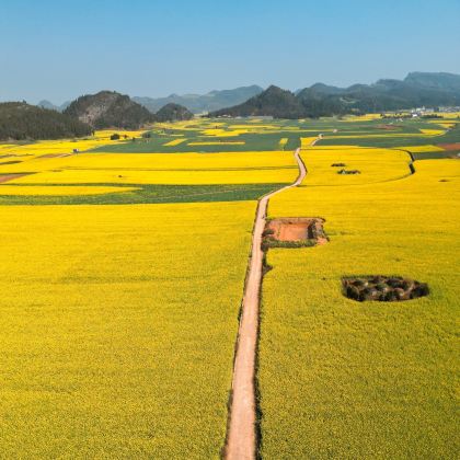 云南昆明+抚仙湖+建水+元阳+蒙自+弥勒+普者黑景区+罗平+东川红土地+元谋土林9日8晚自由行