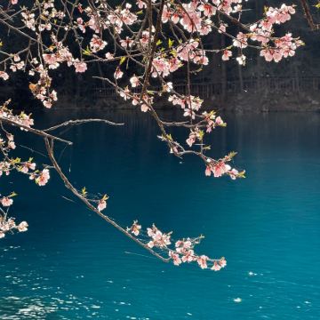 成都+九寨沟+黄龙风景名胜区+四姑娘山景区6日5晚私家团