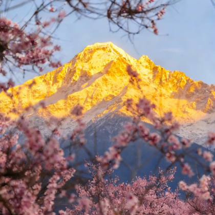 林芝+拉萨+布达拉宫+大昭寺+羊卓雍错+纳木措景区7日6晚私家团