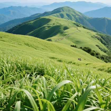 贵州六盘水+乌蒙大草原+野玉海山地旅游度假区4日3晚私家团