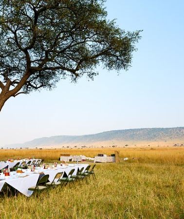 6D5N • 6 Days in the Wild – A Budget Safari Across Tanzania’s Icons