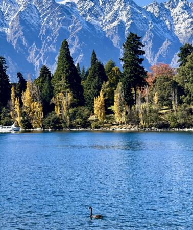 9D8N • New Zealand South Island + Joseph Glacier + Lake Wakatipu + Church of the Good Shepherd + Milford Sound Cruise