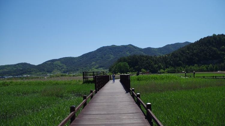 3-Day Group Tours: Korea Western course by K-shuttle Tour from Seoul to Busan