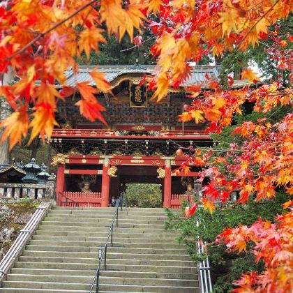 日本东京+鬼怒川温泉+日光市6日5晚私家团