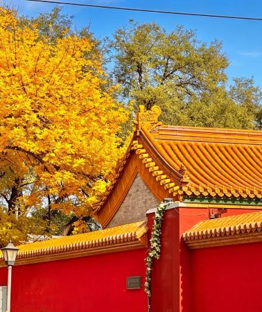 2D1N • Fully customizable itinerary, optional multi-language guide, do not miss Beijing's classic and popular attractions