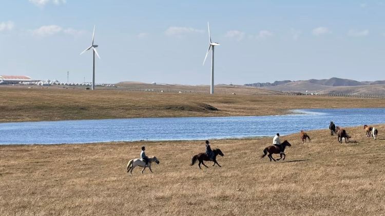 4-Day Tap bottom left for full itinerary + Inner Mongolia + Inner Mongolia: Millennia-Old Culture and Stunning Scenery. Huiteng Xile Grassland. Ulan Hada Volcano . Xiangshawan
