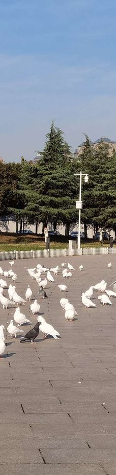 中国文字博物馆-安阳