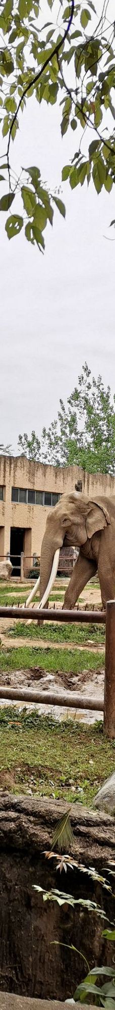 南昌动物园-南昌