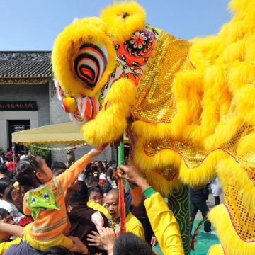 广州+佛山+惠州+长隆野生动物世界6日5晚私家团