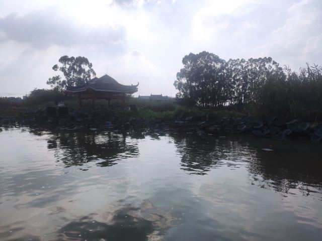 华阳湖国家湿地公园旅行图片 7