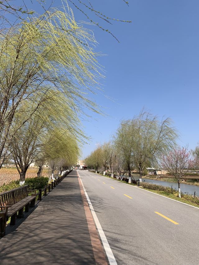 麒麟水乡旅行图片 5