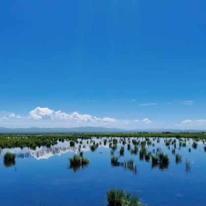 刘家峡+甘加秘境+拉卜楞寺+夏河+桑科草原+郭莽湿地+若尔盖花湖生态旅游区4日3晚自由行