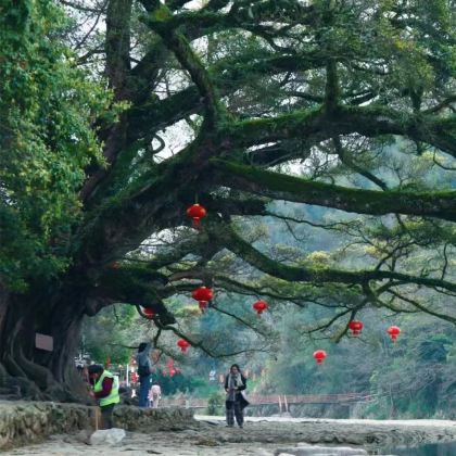 厦门+鼓浪屿+东山岛+福建土楼+武夷山9日8晚私家团