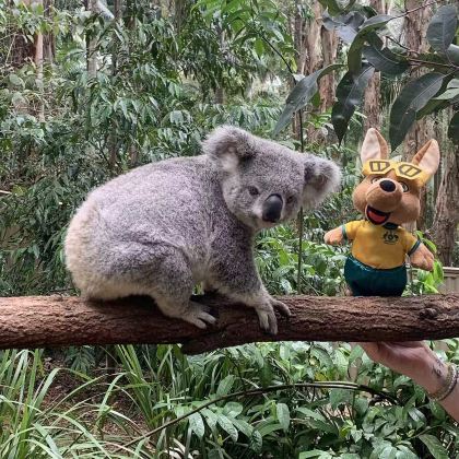 澳大利亚悉尼+凯恩斯+大堡礁+墨尔本11日私家团