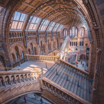 英国9日7晚私家团