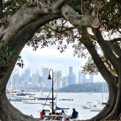澳大利亚11日8晚拼小团