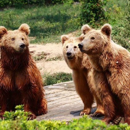 常州4日3晚私家团