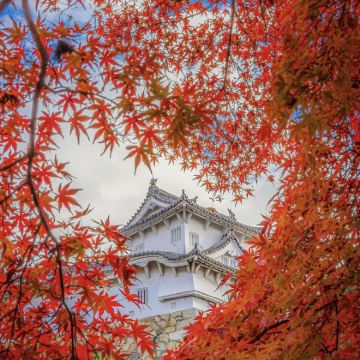 日本环球影城+京都+奈良7日6晚拼小团