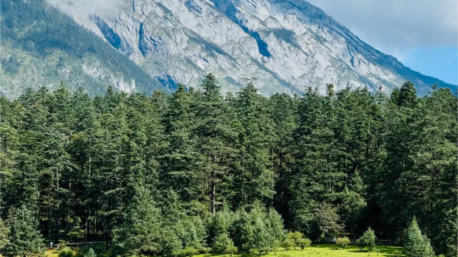 10-day 9-night · Private Tour · Kunming + Dali + Lijiang + Shangri-La· Dali, Shangri-La, Lijiang, Dukezong, Yulong Snow Mountain, Songzanlin Monastery, Tiger Leaping Gorge