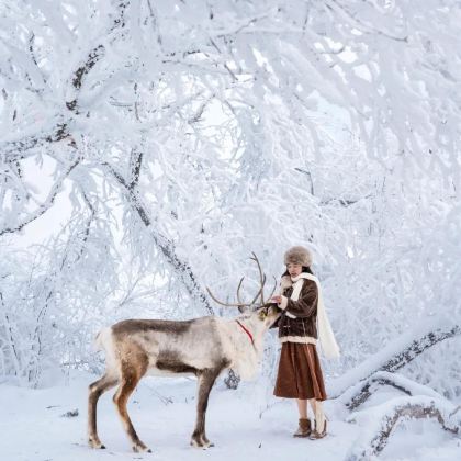 北戴河+秦皇岛阿那亚+承德+木兰围场+乌兰布统6日5晚跟团游