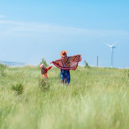 锡林郭勒盟草原+蒙古汗城旅游景区+锡盟西乌旗乌兰五台景区+乌拉盖草原+乌拉盖野狼谷景区+布林泉+呼伦贝尔+呼伦贝尔大草原+海拉尔+满洲里+阿尔山+额尔古纳11日10晚自由行
