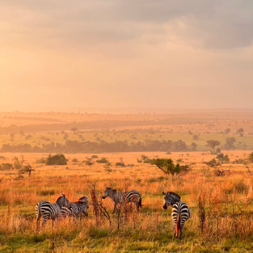 坦桑尼亚桑给巴尔岛9日8晚跟团游