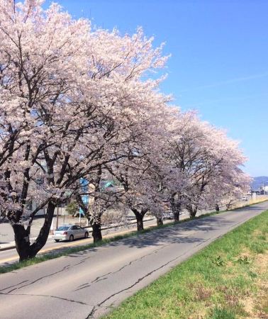 3日2晚 • 日本草津町＋輕井澤町＋諏訪湖