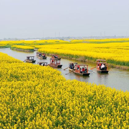 无锡+兴化+扬州4日3晚拼小团