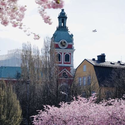 瑞典+丹麦7日6晚私家团