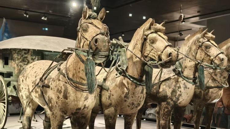 6D5N · Group Tours · 5d4n-Peaks of Nature to the ranks of Army, a complete Xi'an journey-Mount Hua-Terracotta Warriors-Hand made-Museum-Performance-Muslim Quarter-Hanfu Experience -City Wall·No shopping, includes guide, free transfer, 5-diamond hotels. Additional activities include The Romantic Show of Xi'an, one-day free tour of Mount Hua and traditional local cuisine.