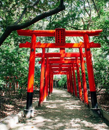 6日5晚 • 【關西悠遊盛夏之旅】庭園風雅金閣寺+小火車徜徉溪谷+奈良小鹿互動+盡享美食採買心齋橋