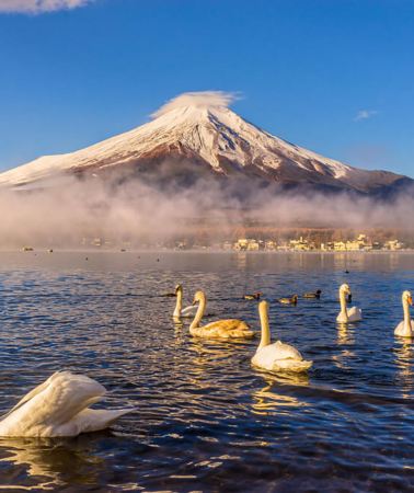 6D5N • Family Fun in Tokyo & Mt. Fuji: Tokyo Disneyland + Mt. Fuji view + Lake Yamanaka + Oshino Hakkai + Imperial Palace + Senso-ji Temple + Nakamise Shopping Street + Odaiba